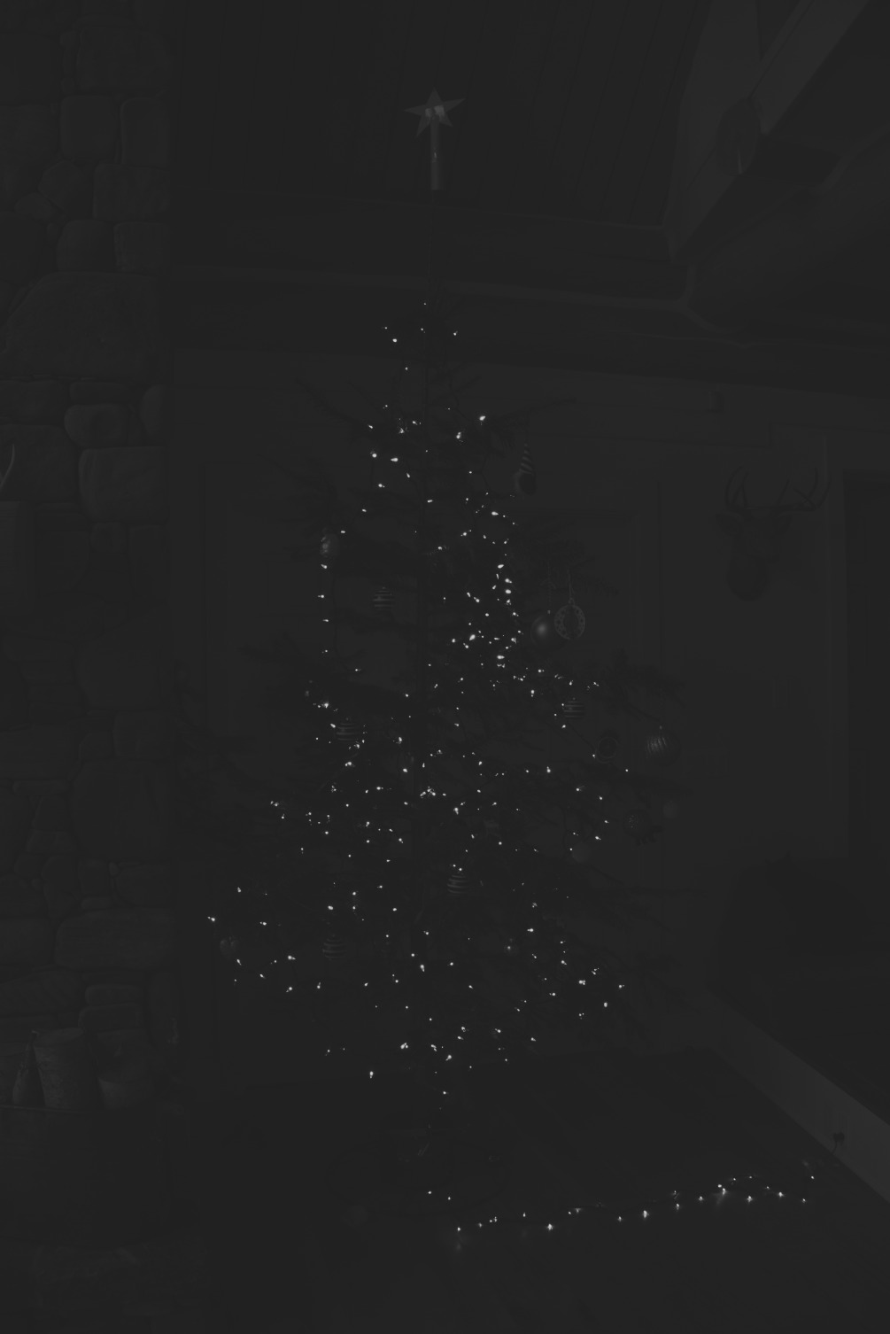 A grayscale image of a Christmas tree with very
       limited dynamic range.